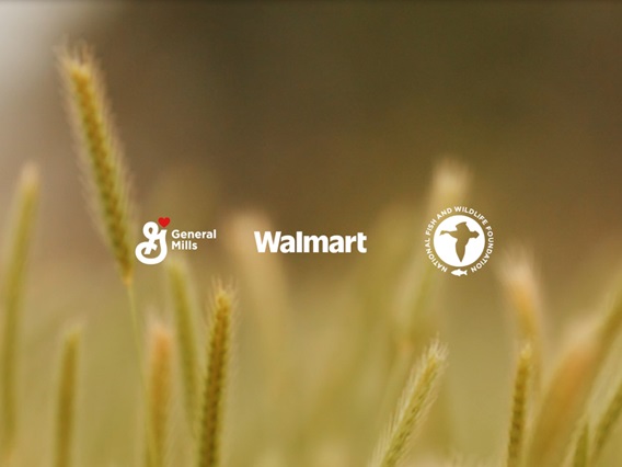 Field with General Mills, Walmart, and National Fish and Wildlife Foundation logos