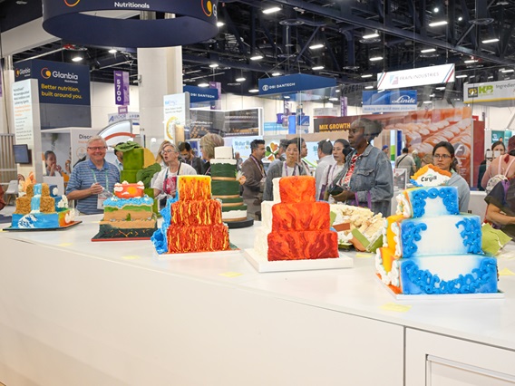 Display table of cakes at the Pillsbury Bakers' Plus Creative Cake Decorating Competition